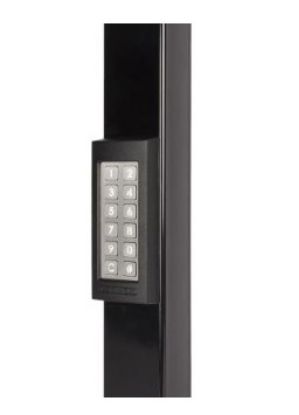 Afbeelding - 6100487-jpg